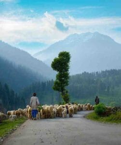 Spiritual Places In Kashmir
