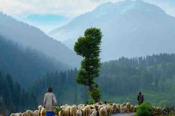 Spiritual Places In Kashmir
