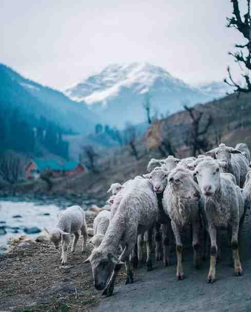 sonmarg