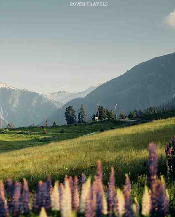 Srinagar Tour Packages