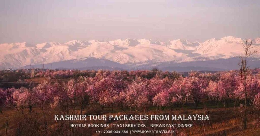 KASHMIR TOUR PACKAGES FROM MALAYSIA