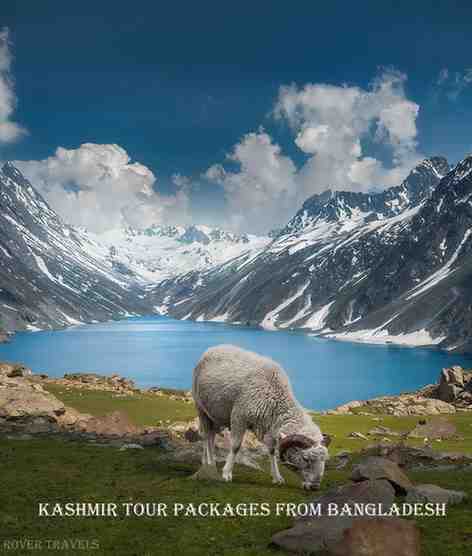 KASHMIR TOUR PACKAGES