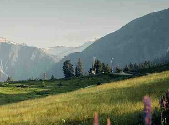 5-Day-Kashmir-Itinerary