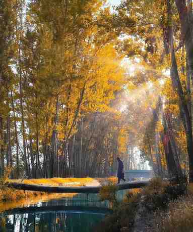 Is Kashmir Safe for Tourists