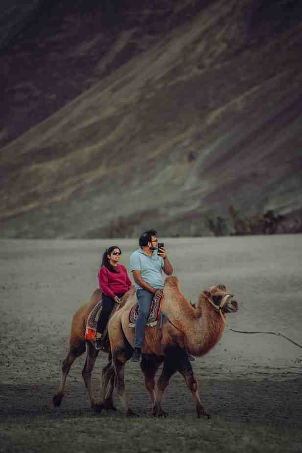 Kashmir tour operators