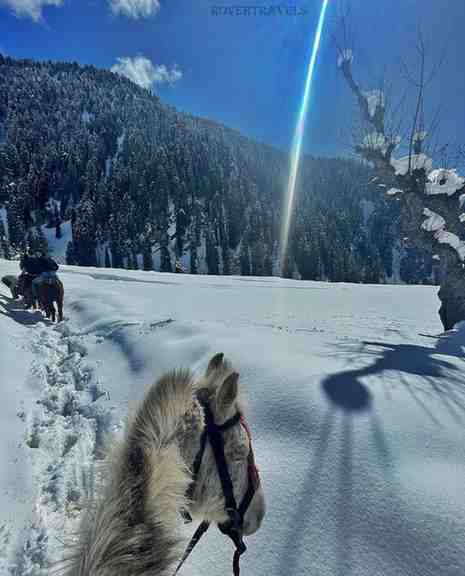 kashmir tour package