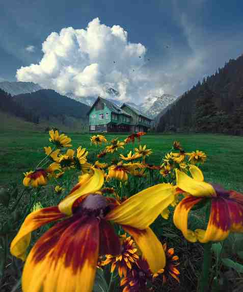 Srinagar sightseeing